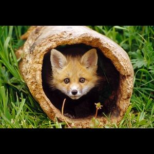 Meet your Posher, Aubree